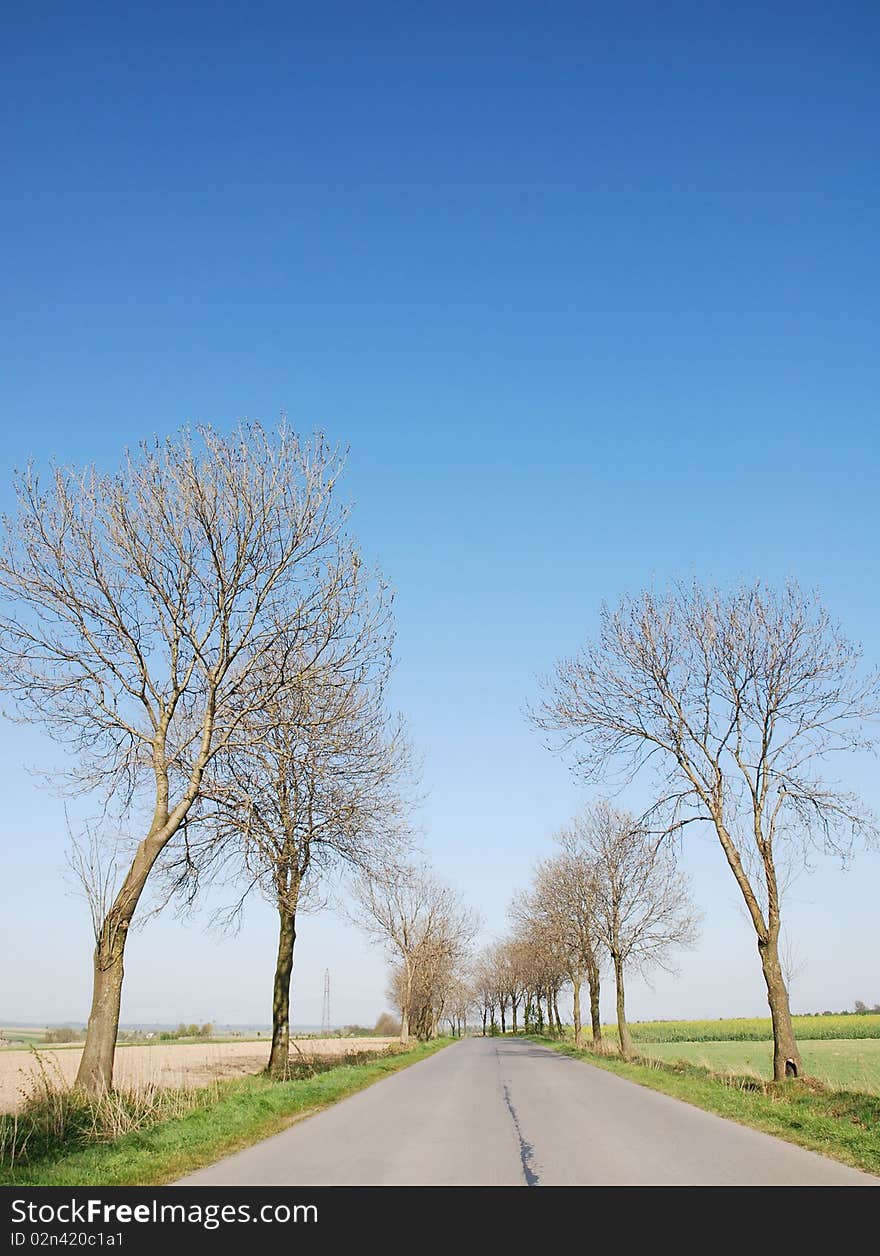 Countryside road at summer day. Countryside road at summer day