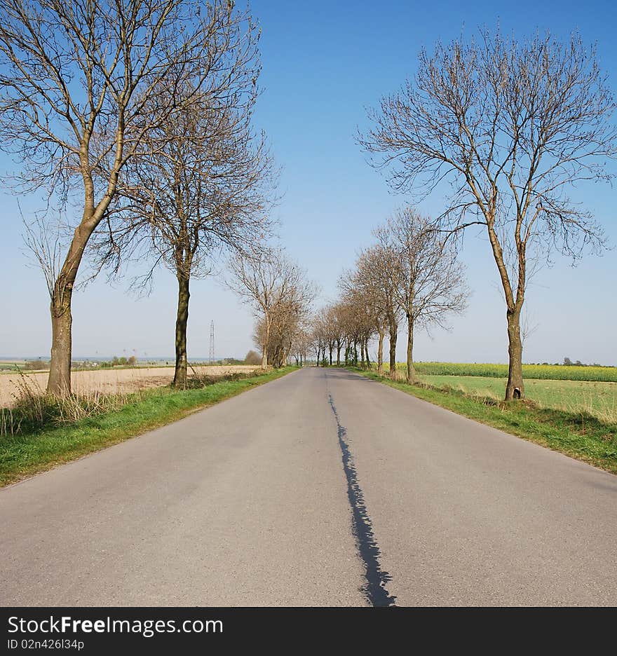 Countryside road at summer day. Countryside road at summer day