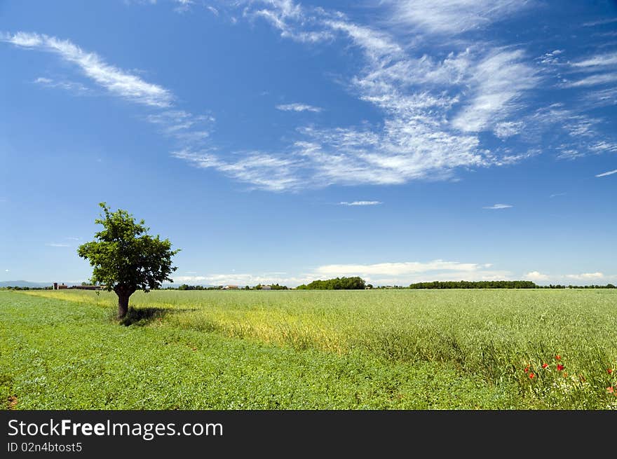 Landscape With Clouds