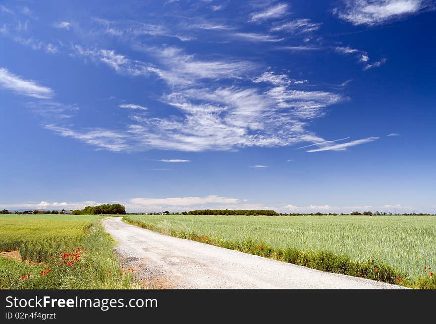 Landscape with clouds and trees