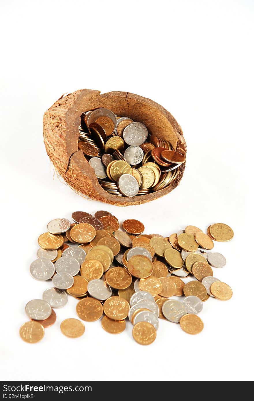 A money in cocoa shell