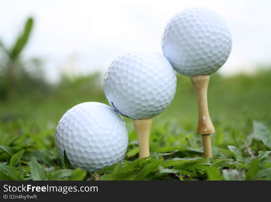 Golf Balls On Tees