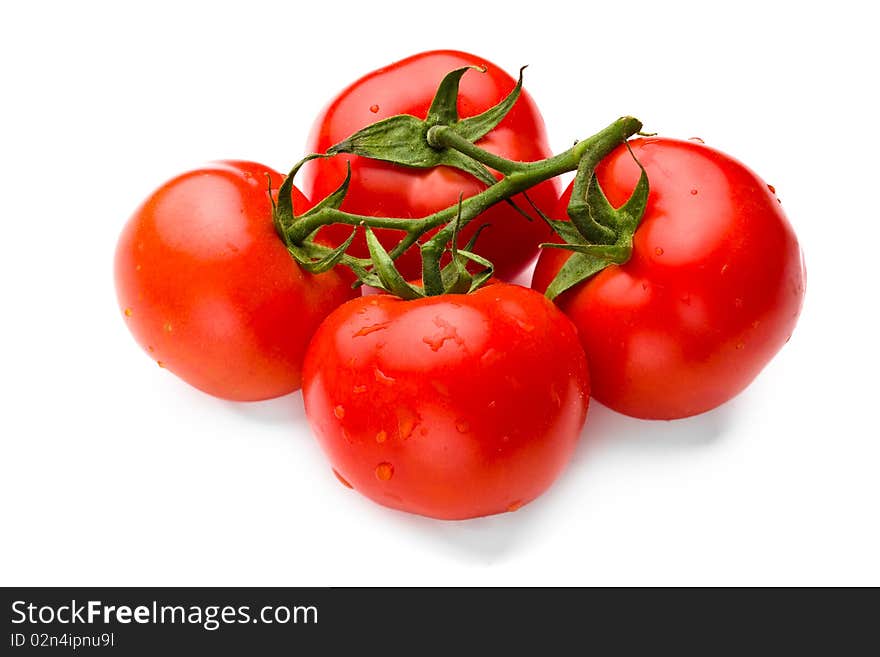 Juicy tomatoes isolated on white background