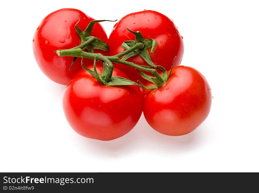 Juicy tomatoes isolated on white background