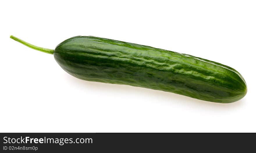 Fresh green cucumber on white background