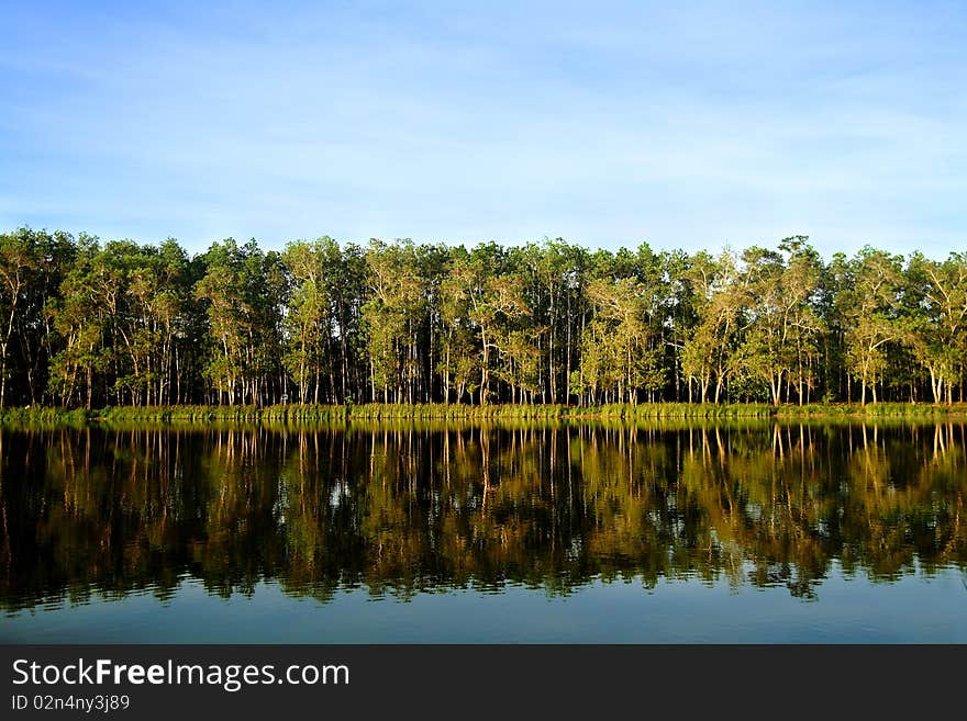 Reflection of Thailand forest in clear lake. Reflection of Thailand forest in clear lake