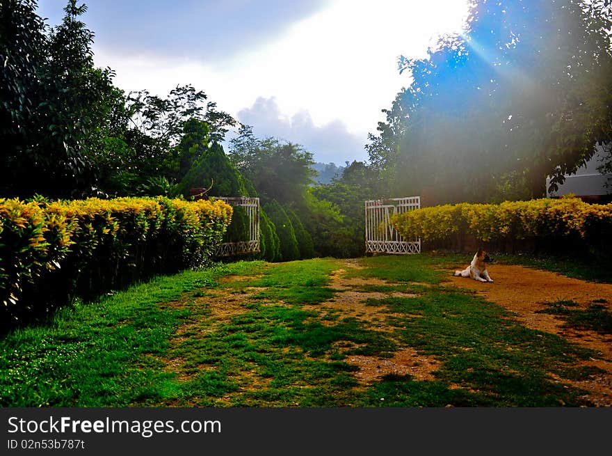 Beautiful entrance to the home. Beautiful entrance to the home