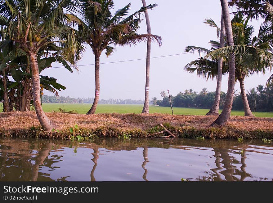 Alapuzha backwaters of Kerala, India