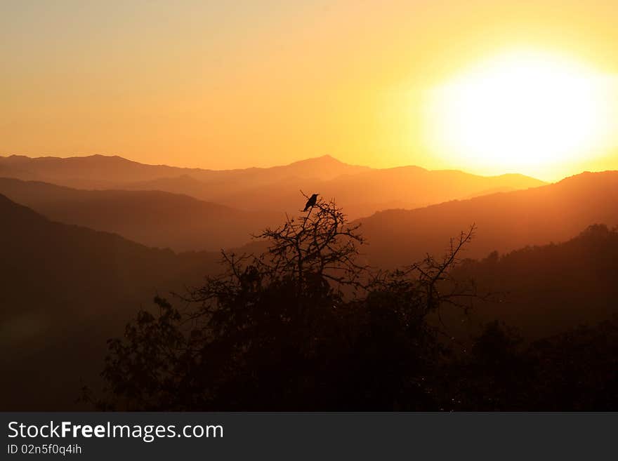 Crow silhouette in the mountains