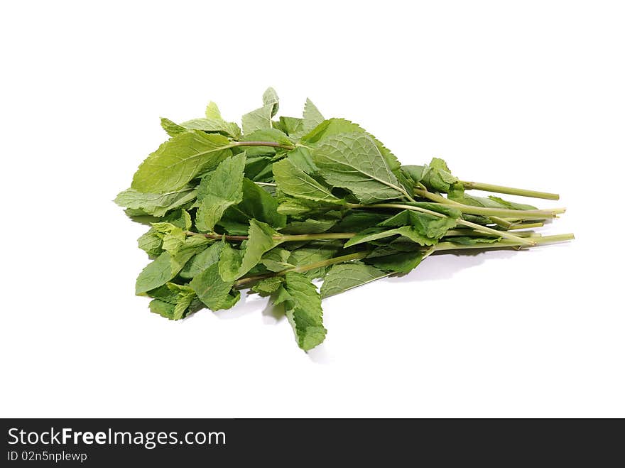 Fresh leafs of mint over white background