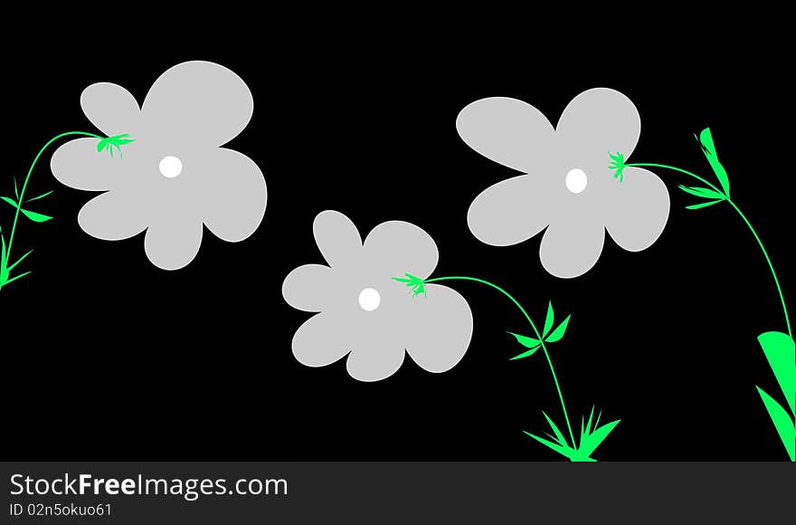 The three flowers on the black background