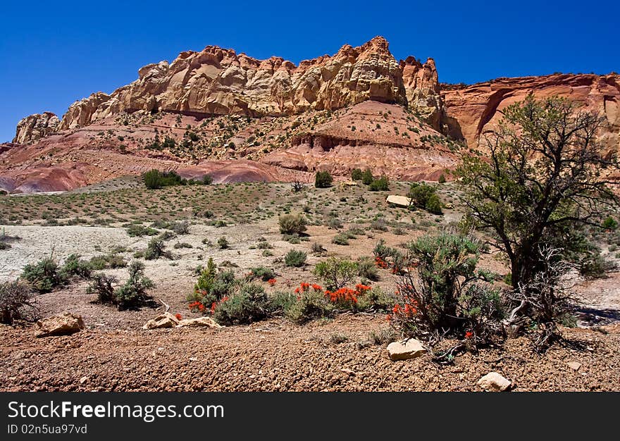 A landscape image of the Earth crust near Capitol Reef National Park