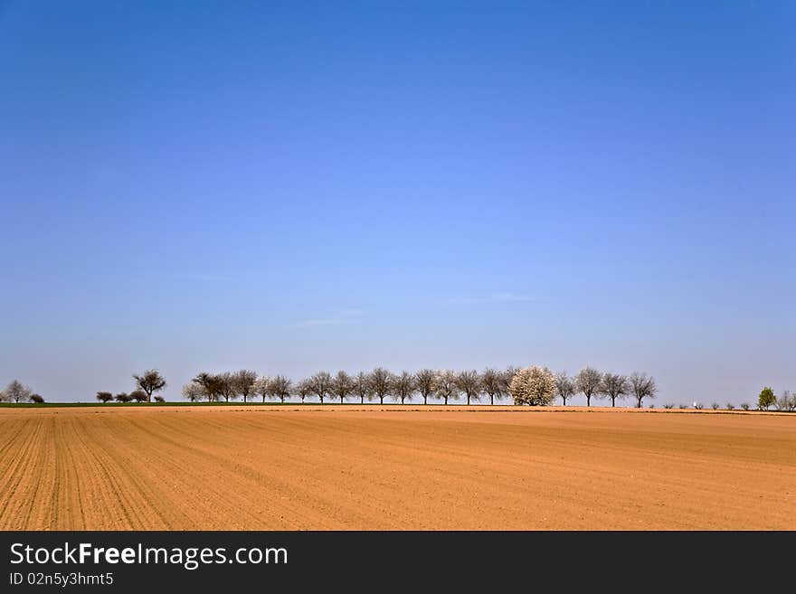 Freshly ploughed acre with row of trees at the horizon