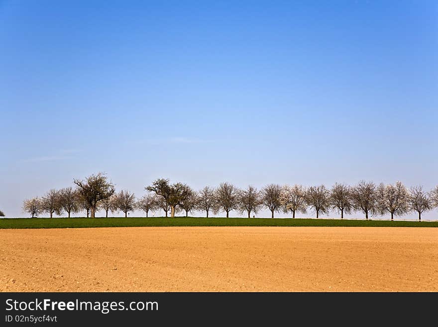 Freshly ploughed acre with row of trees at the horizon