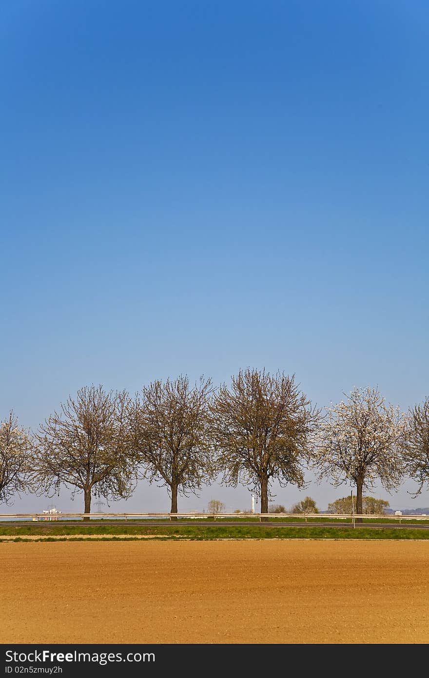 Freshly ploughed acre with row of trees at the horizon