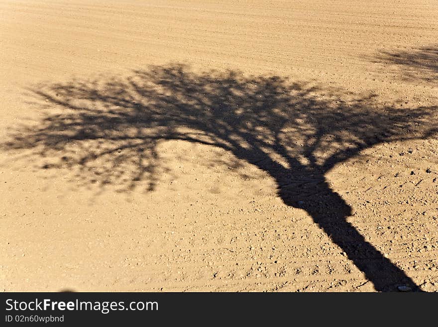 Freshly ploughed acre with clear shadow of tree