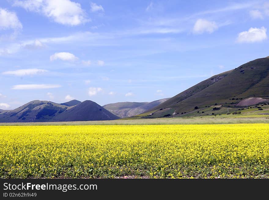 Meadow in Castelluccio di Norcia