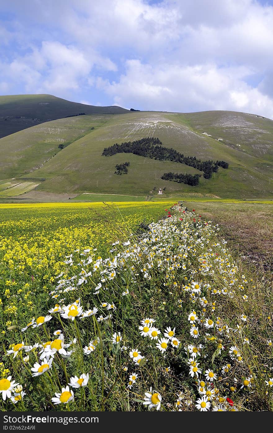 Castelluccio di Norcia