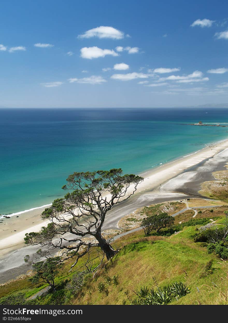 Mangawhai Heads beach