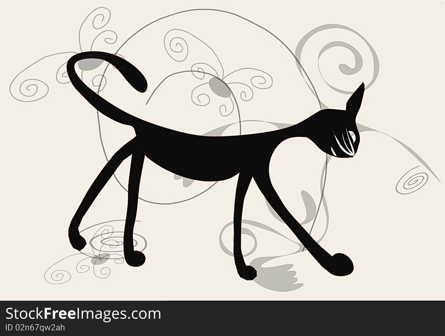 Black Cat On White Background