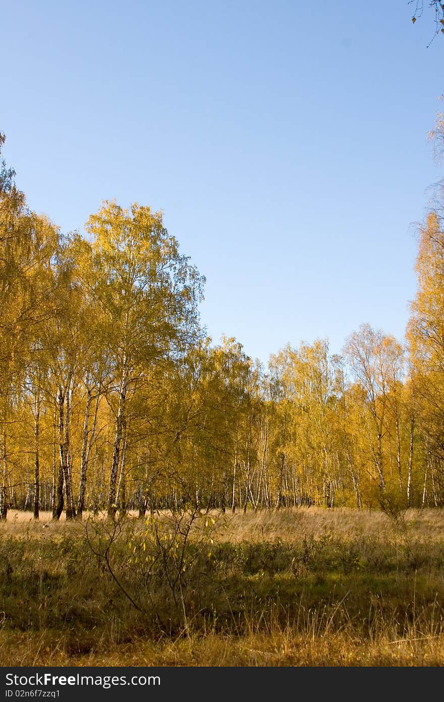 Beautiful autumn landscape with yellow, red and green trees