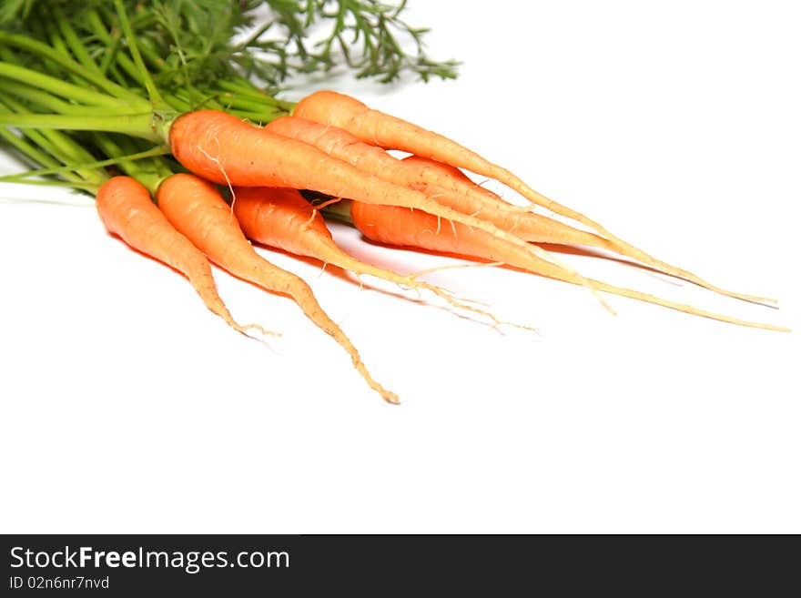 Fresh Carrots Isolated on a White Background