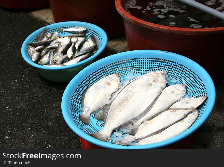 The fish market in South Korea, Busan Jagalchi street. The fish market in South Korea, Busan Jagalchi street