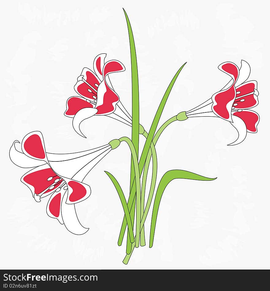 Illustration of lilies, isolated on old background