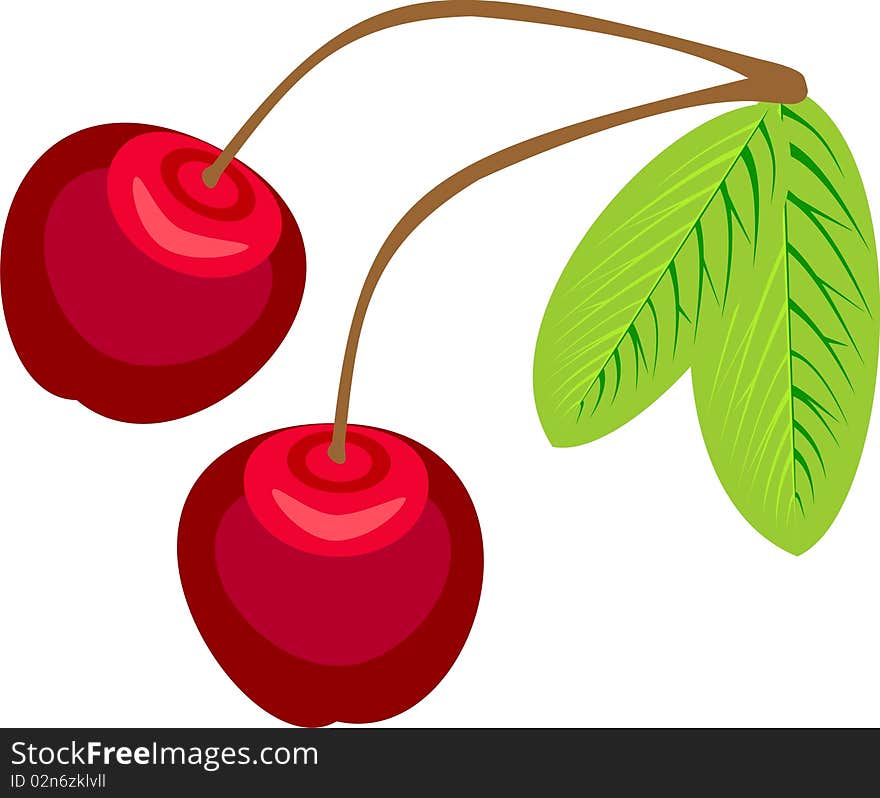 Two ripe cherries on a branch with leaves. Two ripe cherries on a branch with leaves