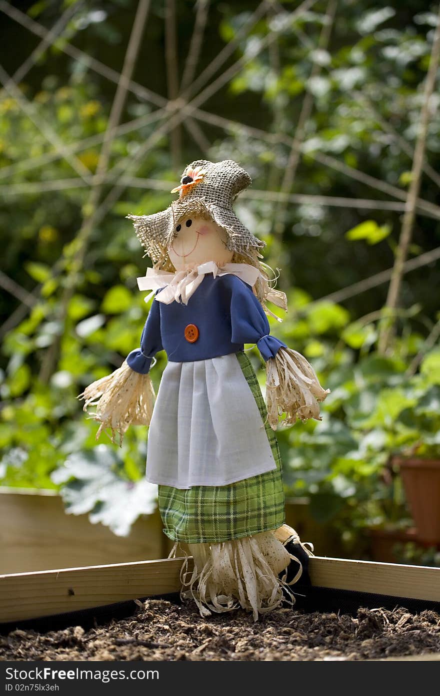 Scarecrow in a garden vegetable plot in UK