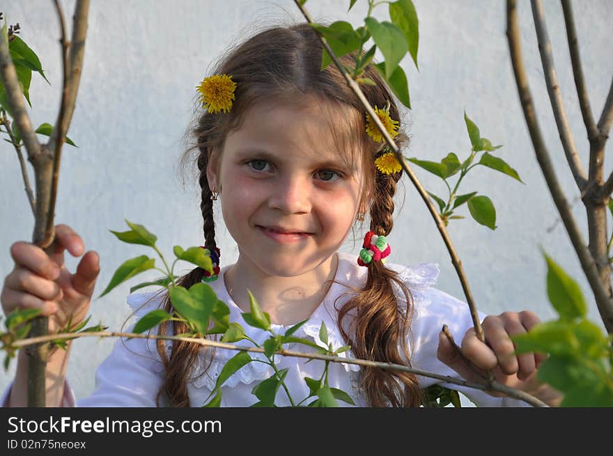Little nice girl smiling among boughs of a lilac. Little nice girl smiling among boughs of a lilac