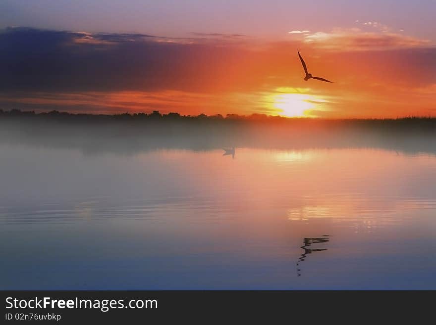 Morning On The Lake