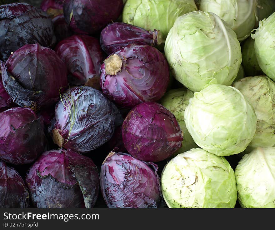 Fresh cabbage for sale at a local farmers market