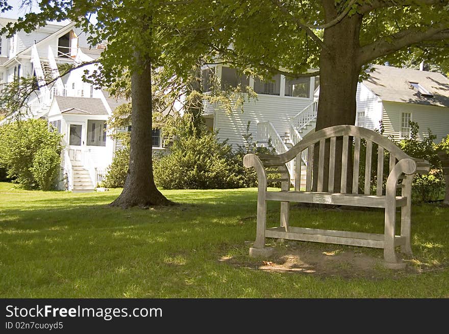 Bench in an american garden