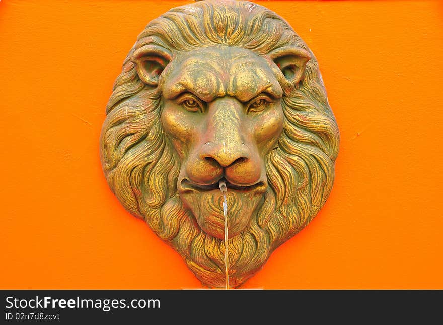 Lion blow water on orange background