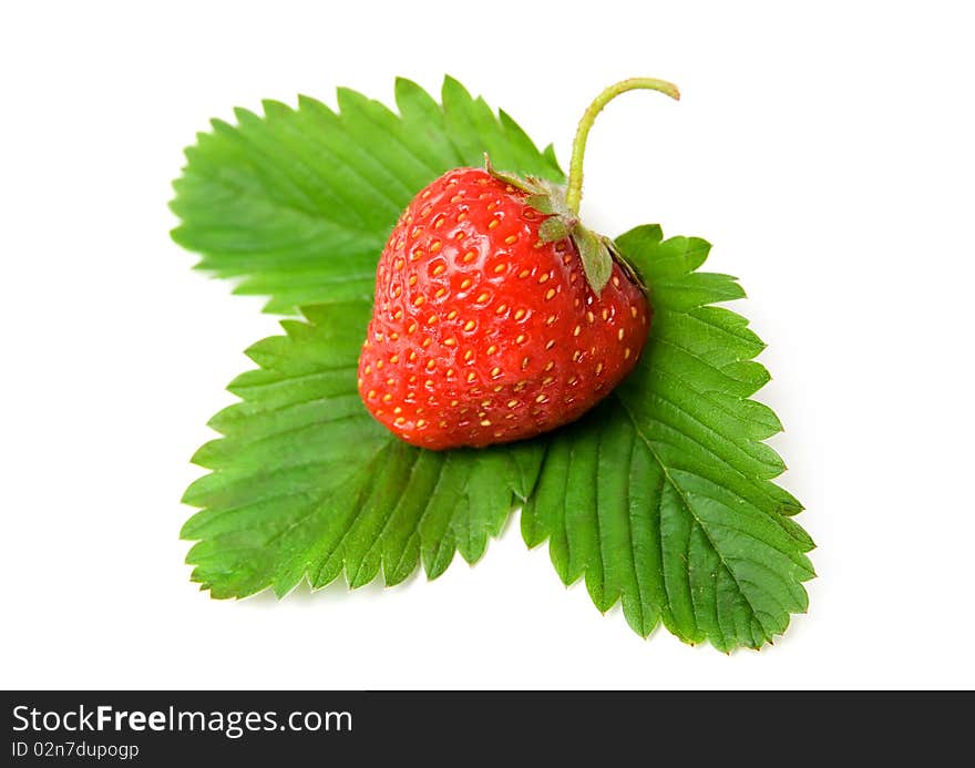 Fresh strawberry with the leaf isolated on white