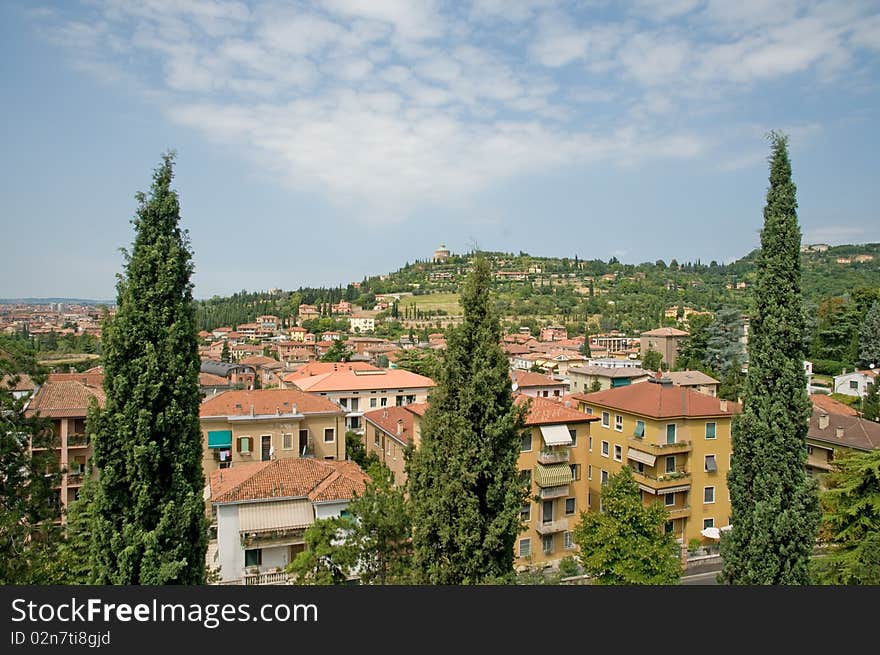 A view of the pines and landscape in verona in italy. A view of the pines and landscape in verona in italy