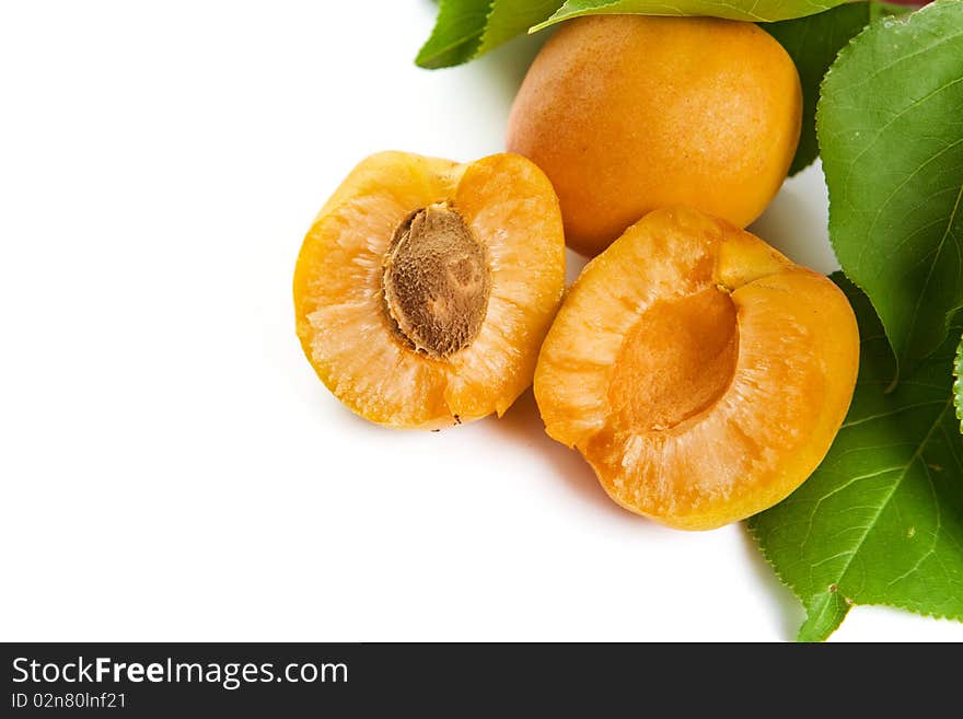 Fresh apricot