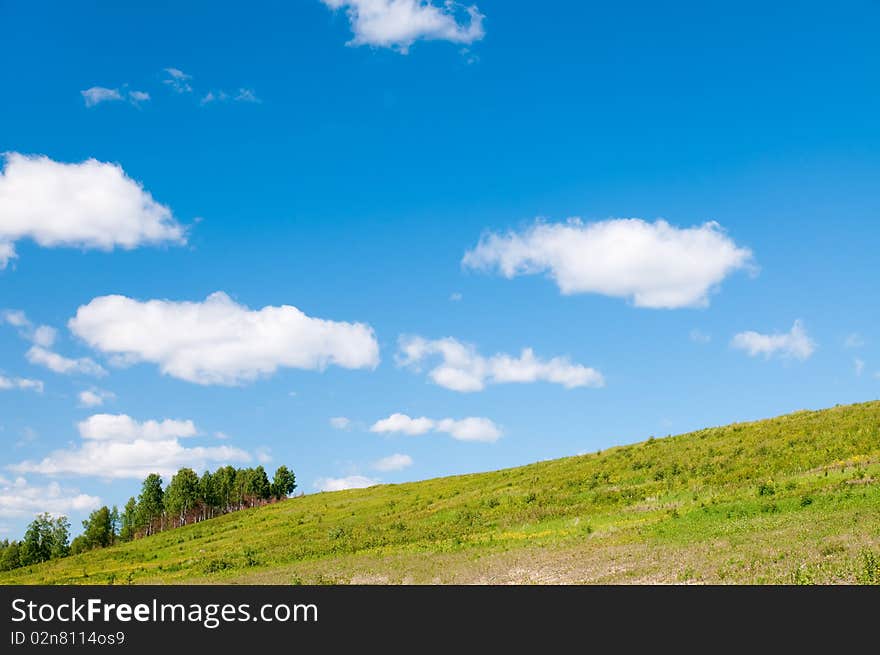 Background of cloudy sky and grass. Background of cloudy sky and grass