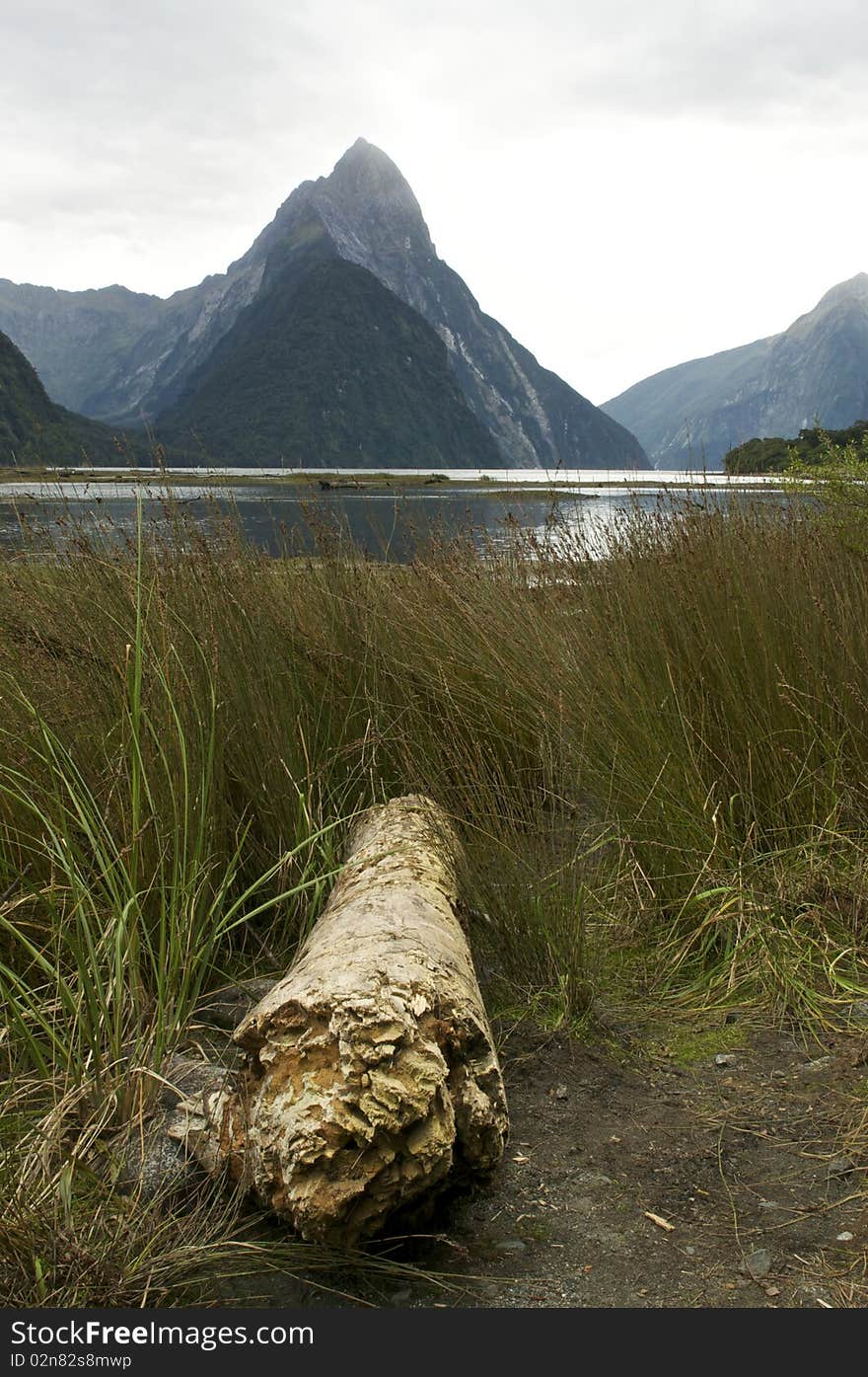 Milford Sound