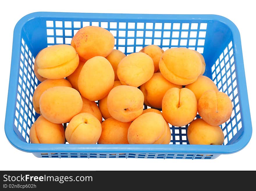 Apricots in a box