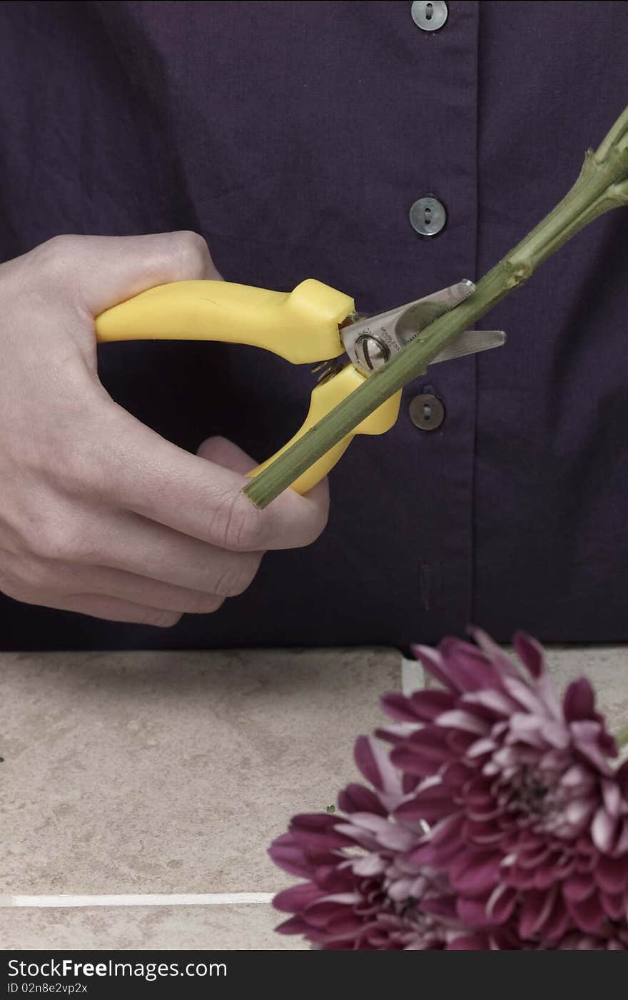 Cutting flower stem