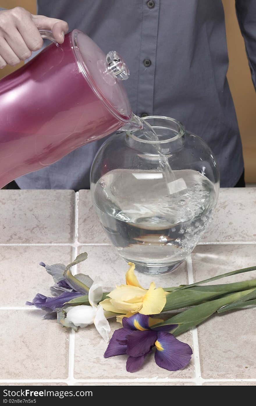 Woman fills a glass vase with water to display flowers. Woman fills a glass vase with water to display flowers