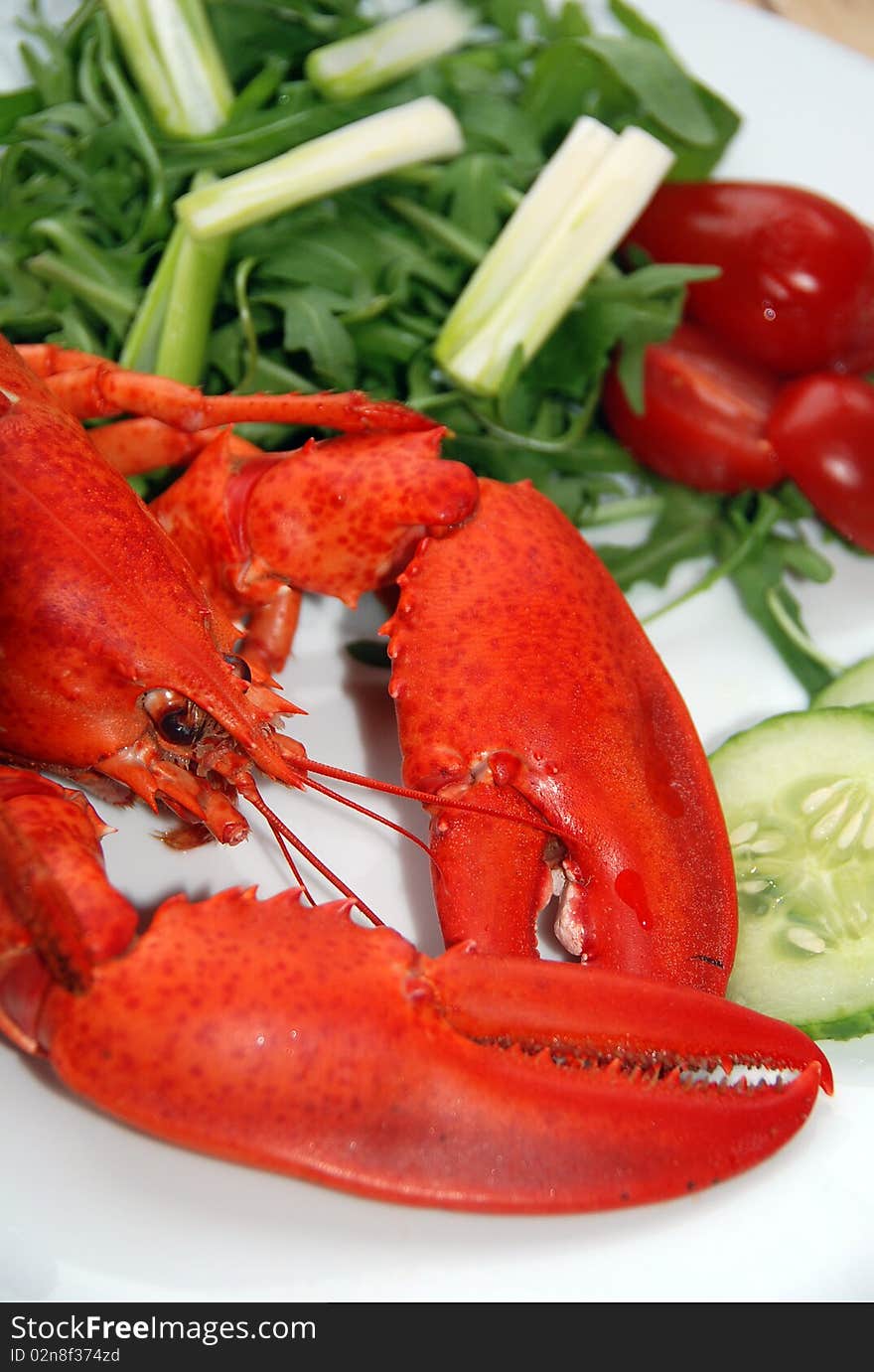 A lovely lobster salad on a white plate