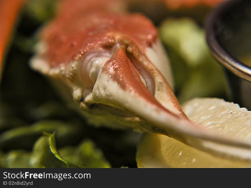 The front of a crab pinch with lemon and butter. The front of a crab pinch with lemon and butter.