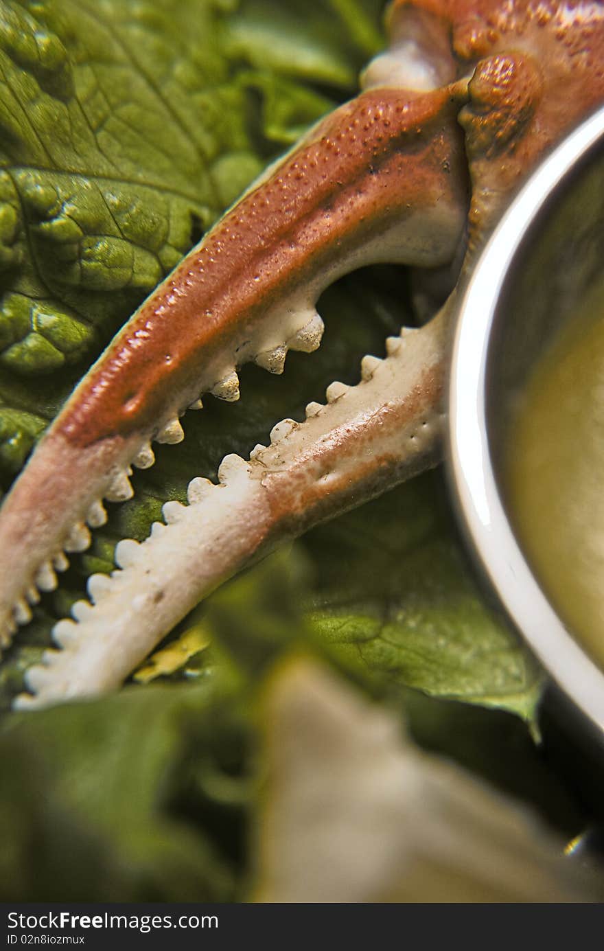 A close view of a crab pinch, melted butter and a salad sheet viewed from the side. A close view of a crab pinch, melted butter and a salad sheet viewed from the side.