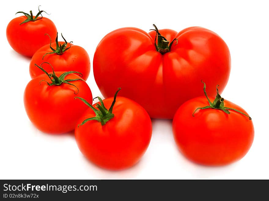 Tomatoes group