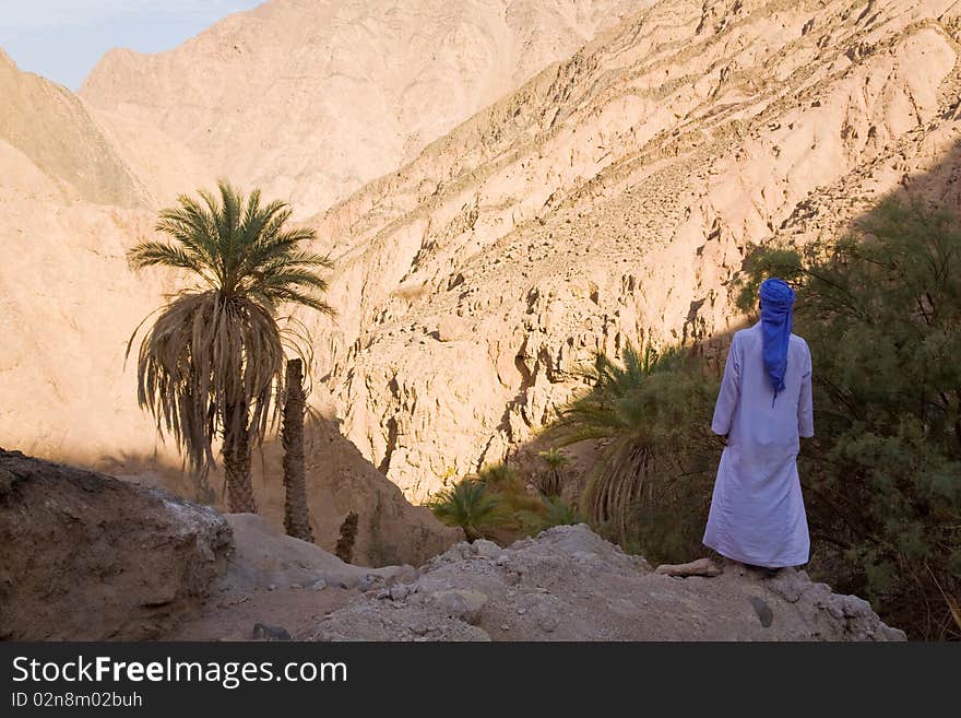 Portrait of Egyptian bedouin in ethnic wear