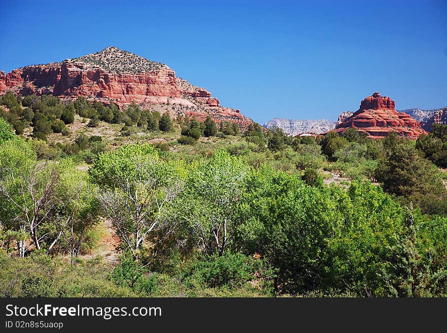 Red rocks in Sedona