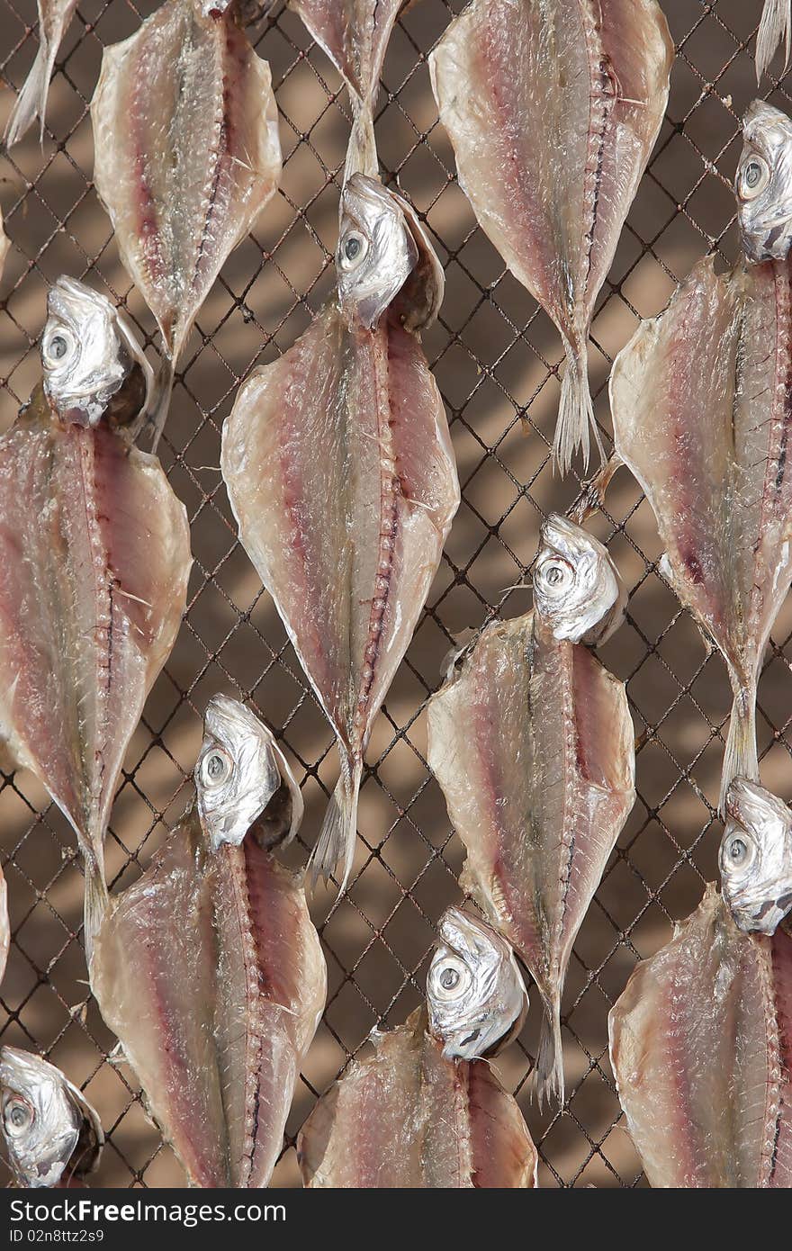 Traditional sun dried mackerel